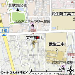 福井県越前市三ツ口町11周辺の地図