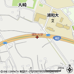 浦和大学周辺の地図