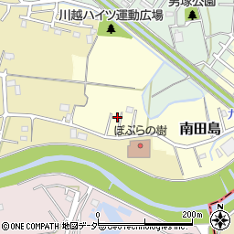 埼玉県川越市南田島2461-1周辺の地図