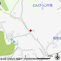 埼玉県日高市女影1534-2周辺の地図