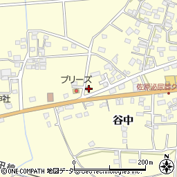 千葉県香取市谷中955周辺の地図