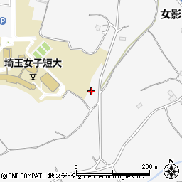 埼玉県日高市女影1637周辺の地図
