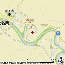 埼玉県飯能市上名栗521周辺の地図