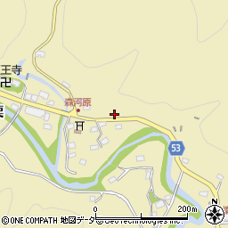 埼玉県飯能市上名栗501周辺の地図