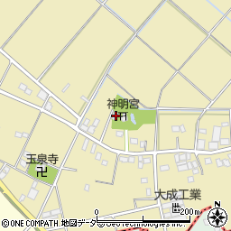 埼玉県さいたま市岩槻区釣上219周辺の地図