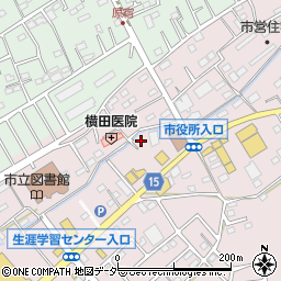 埼玉県日高市鹿山289-5周辺の地図