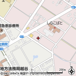 埼玉県越谷市増林5818-9周辺の地図