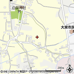 埼玉県川越市大袋周辺の地図