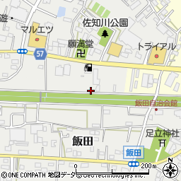 埼玉県さいたま市西区佐知川1039-1周辺の地図