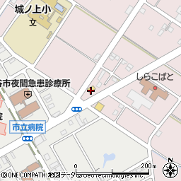 埼玉県越谷市増林5823-1周辺の地図