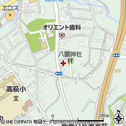 埼玉県日高市高萩1100-1周辺の地図