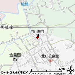 埼玉県日高市女影1894周辺の地図