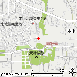 長野県上伊那郡箕輪町木下13173-169周辺の地図