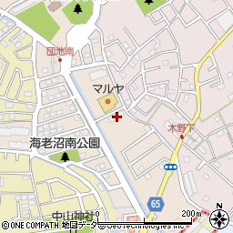 埼玉県さいたま市見沼区東新井891周辺の地図