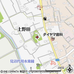埼玉県さいたま市緑区上野田134周辺の地図