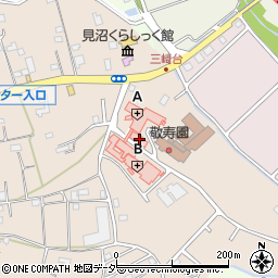 埼玉県さいたま市見沼区片柳1303-1周辺の地図