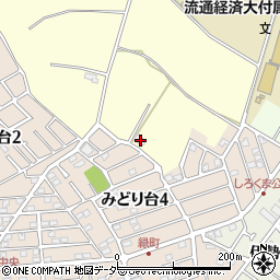 千葉県柏市大青田202周辺の地図