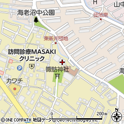 埼玉県さいたま市見沼区南中野29周辺の地図