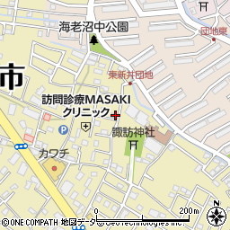 埼玉県さいたま市見沼区南中野49-9周辺の地図