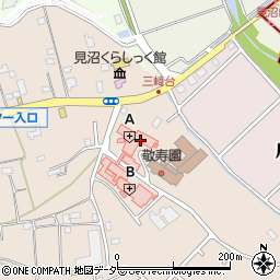埼玉県さいたま市見沼区片柳1303-2周辺の地図