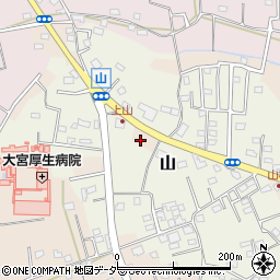 埼玉県さいたま市見沼区片柳2938-1周辺の地図