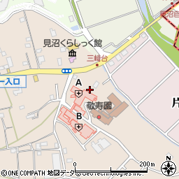 埼玉県さいたま市見沼区片柳1303-3周辺の地図
