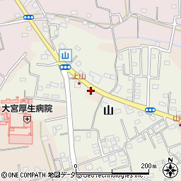埼玉県さいたま市見沼区片柳2938-3周辺の地図