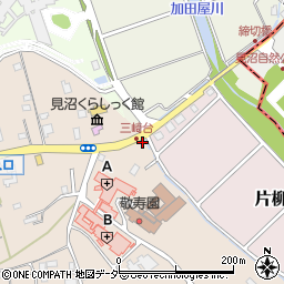 埼玉県さいたま市見沼区片柳1270周辺の地図