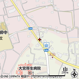 埼玉県さいたま市見沼区片柳2939-2周辺の地図