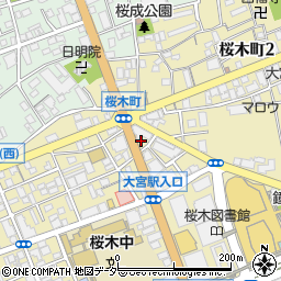 ＳＡＮパーク大宮桜木６駐車場周辺の地図