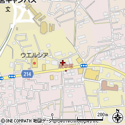 埼玉県さいたま市見沼区南中野832周辺の地図