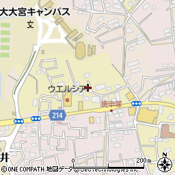 埼玉県さいたま市見沼区南中野819-4周辺の地図