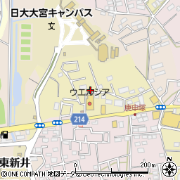 埼玉県さいたま市見沼区南中野799周辺の地図