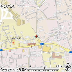 埼玉県さいたま市見沼区南中野830-4周辺の地図