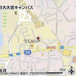 埼玉県さいたま市見沼区南中野796周辺の地図