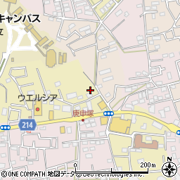 埼玉県さいたま市見沼区南中野830周辺の地図