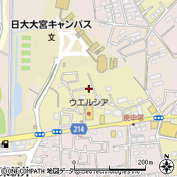 埼玉県さいたま市見沼区南中野790周辺の地図