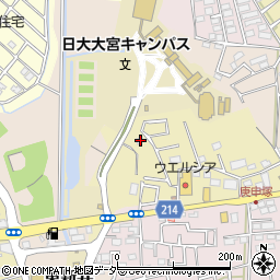 埼玉県さいたま市見沼区南中野761周辺の地図