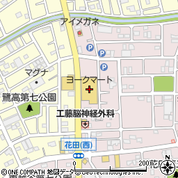 ヨークマート越谷花田店周辺の地図