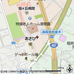 埼玉県日高市森戸新田99-20周辺の地図