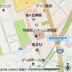 埼玉県日高市森戸新田99周辺の地図