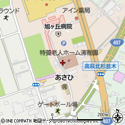 埼玉県日高市森戸新田99周辺の地図