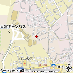 埼玉県さいたま市見沼区東新井535周辺の地図