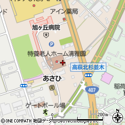 埼玉県日高市森戸新田99-2周辺の地図