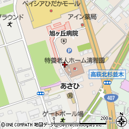 埼玉県日高市森戸新田96-2周辺の地図