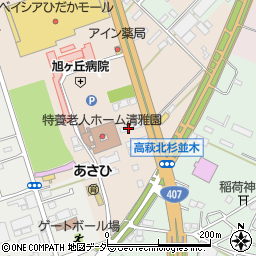 埼玉県日高市森戸新田100-12周辺の地図