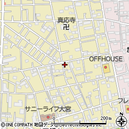 埼玉県さいたま市大宮区三橋1丁目250-1周辺の地図