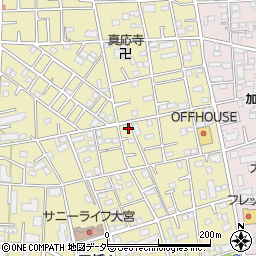 埼玉県さいたま市大宮区三橋1丁目250-3周辺の地図