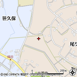 埼玉県さいたま市岩槻区尾ケ崎1032周辺の地図