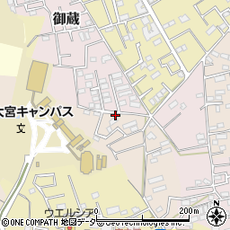 埼玉県さいたま市見沼区東新井529周辺の地図